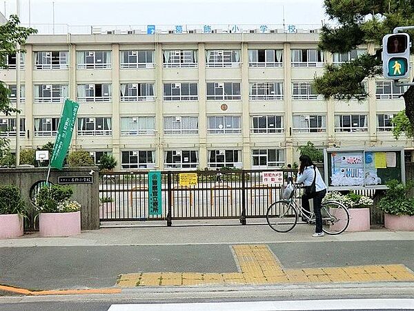 葛飾区立葛飾小学校 徒歩9分。 710m