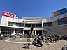 周辺：ベルクス足立花畑中央店 徒歩15分。 1160m