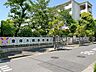 周辺：幼稚園・保育園 東保木間保育園 560m