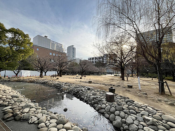 央区の誇る広大な緑、浜町公園が暮らしの庭になる。