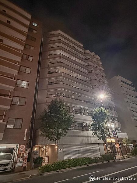外観：313004853696