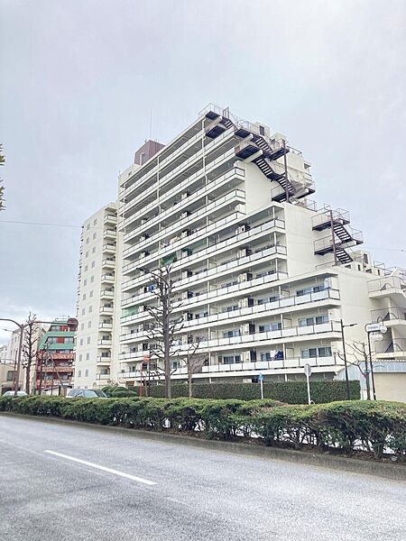 外観：313004823719