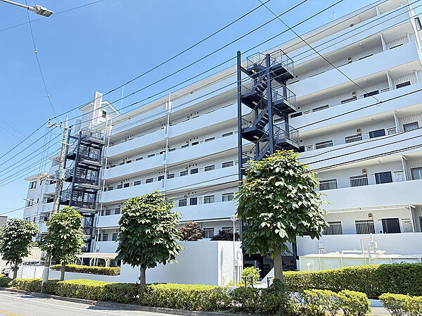 緑豊かなアプローチが住まう人を優しく迎えます。エントランス周りもきれいに保たれています。