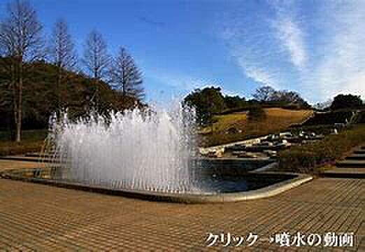 青葉の森公園