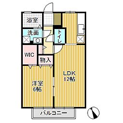 ミューズ21 B棟 2階1LDKの間取り