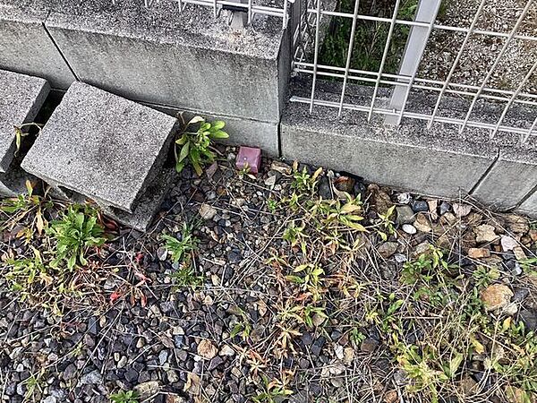 その他屋外