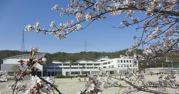 陶都中学校 1750m