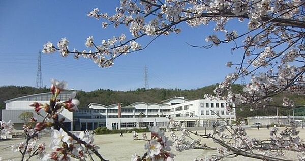 陶都中学校 1120m