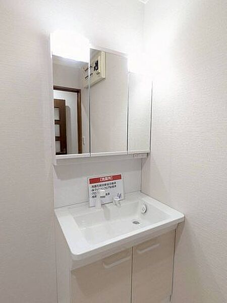 シャワー付きの三面鏡洗面台