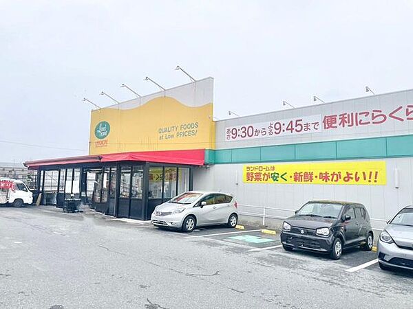 コンビニ ランドロームフードマーケット 西白井店　徒歩約12分　約927ｍ