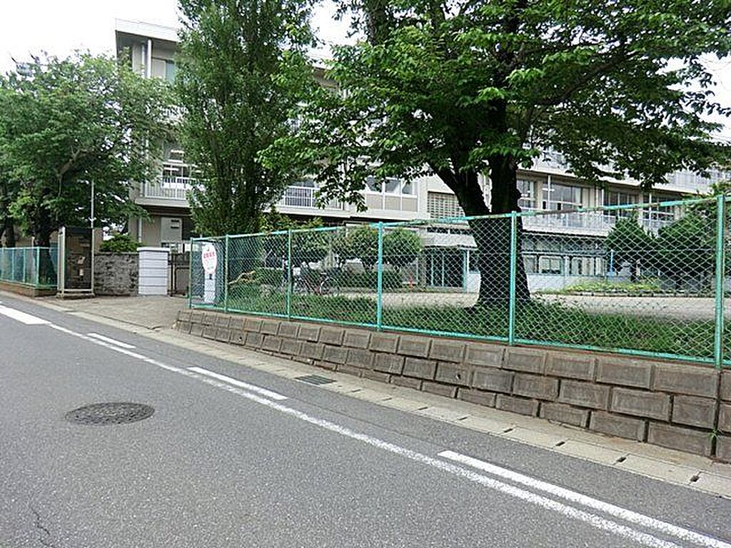 Image 7