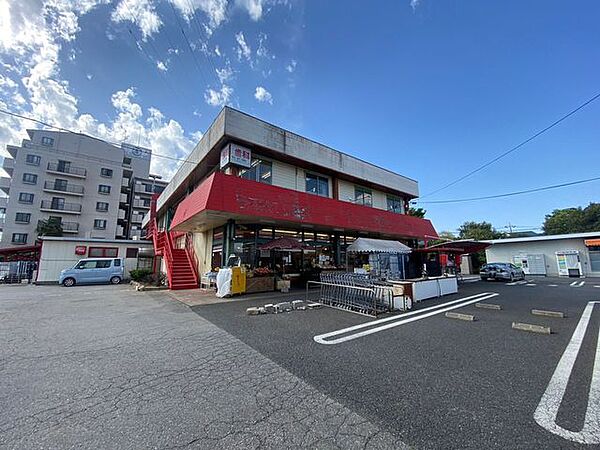 スーパーチェーンカワグチこてはし南店 徒歩6分。 440m
