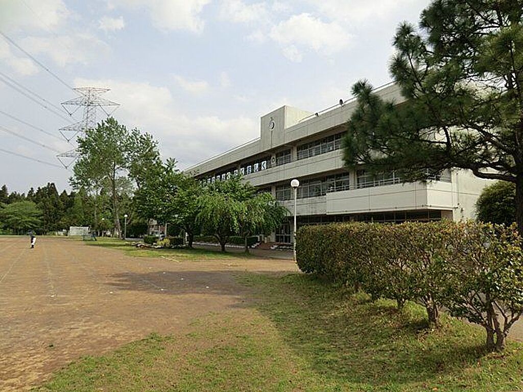 Image 9