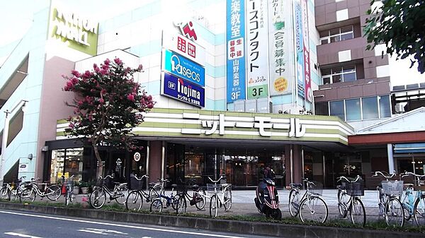 ニットモール