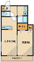 MAISON QUATRE 1階1LDKの間取り