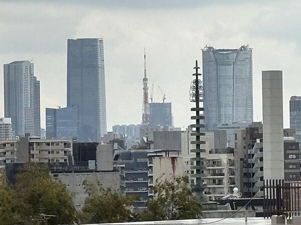 現地（2026年2月）撮影ルーフバルコニーからの眺望東京タワーを望めます。