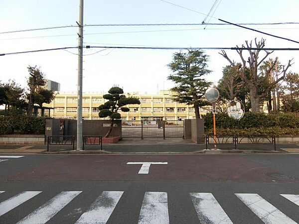 葛飾区立末広小学校 約546ｍ