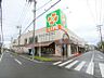 周辺：ライフ葛飾鎌倉店 約381ｍ