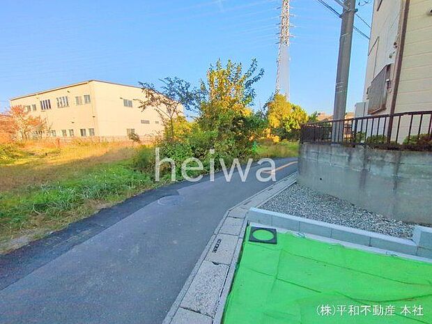 撮影日(2024-11-13 00:00:00)