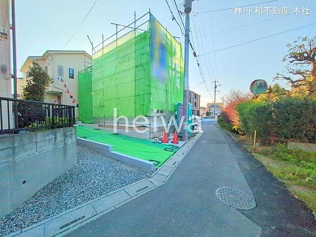 撮影日(2024-11-13)