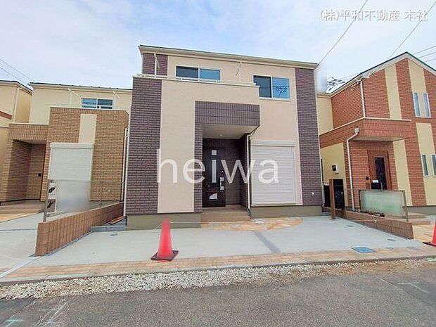 撮影日(2025-03-11 00:00:00)