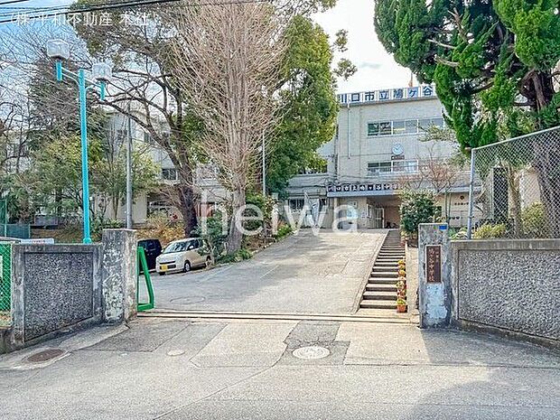 川口市立鳩ヶ谷中学校 撮影日(2022-03-17) 240m