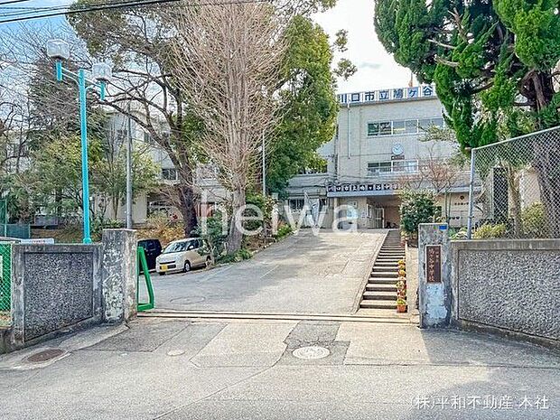 川口市立鳩ヶ谷中学校 撮影日(2022-03-17) 240m