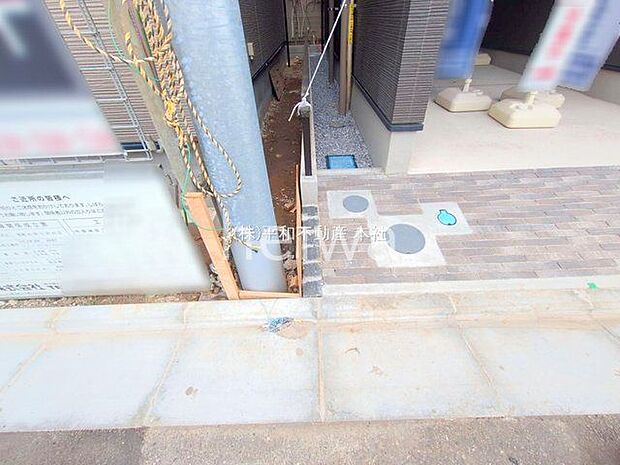 撮影日(2025-06-23 00:00:00)