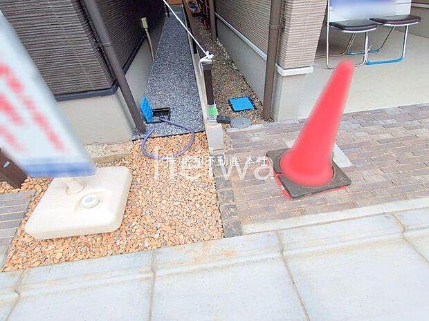 撮影日(2025-06-23 00:00:00)