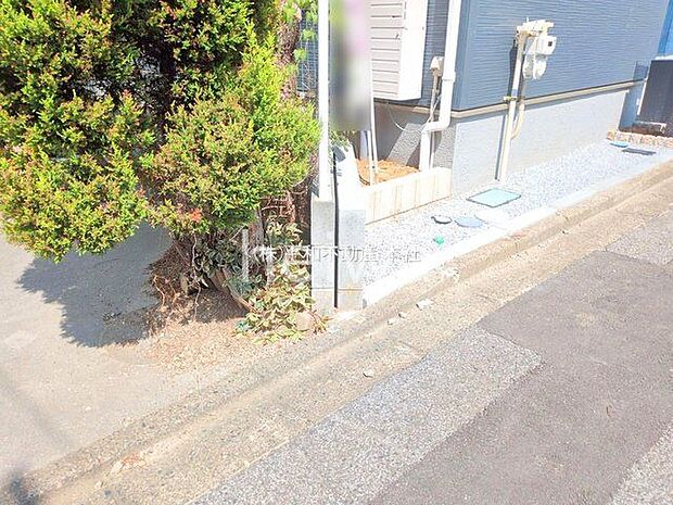 撮影日(2025-08-20 00:00:00)