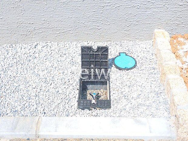 撮影日(2025-08-20 00:00:00)