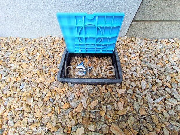 撮影日(2025-04-11 00:00:00)