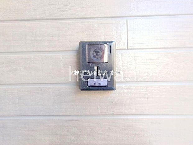 撮影日(2025-06-19 00:00:00)