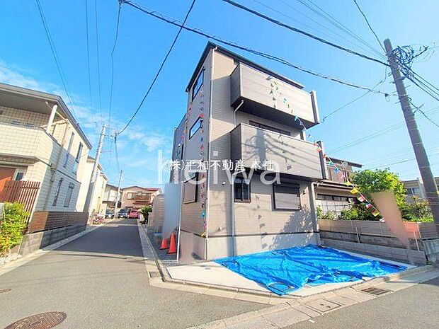 撮影日(2025-06-19 00:00:00)