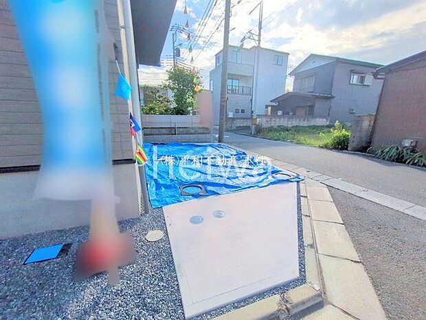 撮影日(2025-06-19 00:00:00)