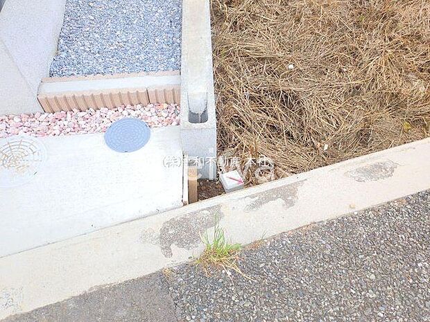 撮影日(2025-06-13 00:00:00)