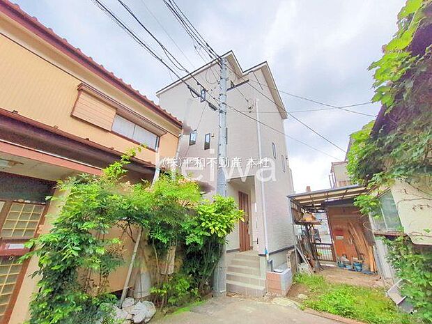 撮影日(2025-06-13 00:00:00)