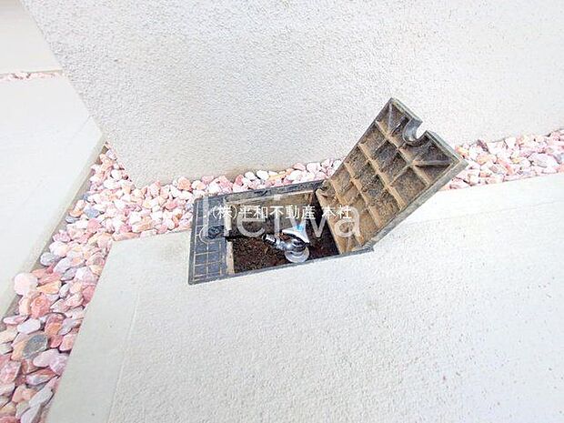 撮影日(2025-06-13 00:00:00)