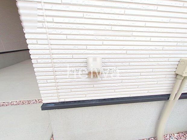 撮影日(2025-06-13 00:00:00)