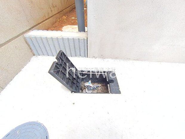 撮影日(2025-07-09 00:00:00)