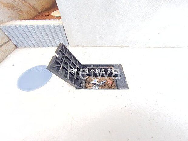 撮影日(2025-06-16 00:00:00)