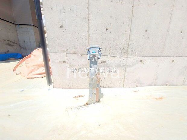 撮影日(2025-08-21 00:00:00)