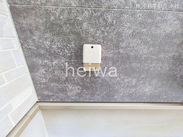 撮影日(2025-03-26 00:00:00)