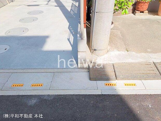 撮影日(2025-05-01 00:00:00)