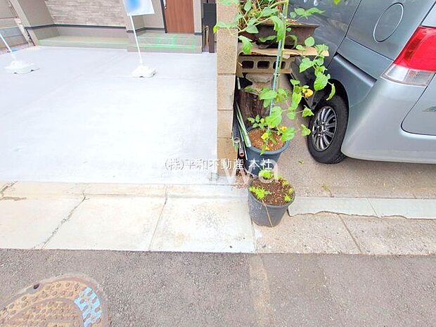 撮影日(2025-06-13 00:00:00)