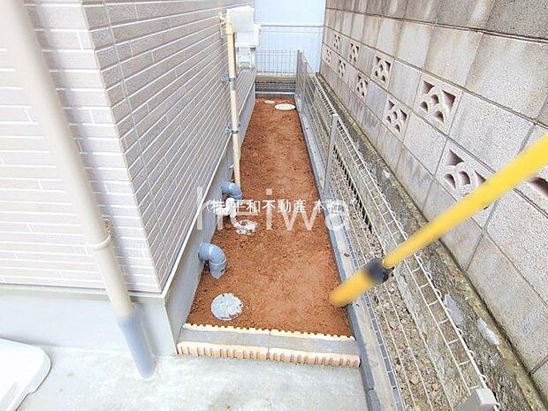 撮影日(2025-10-20 00:00:00)