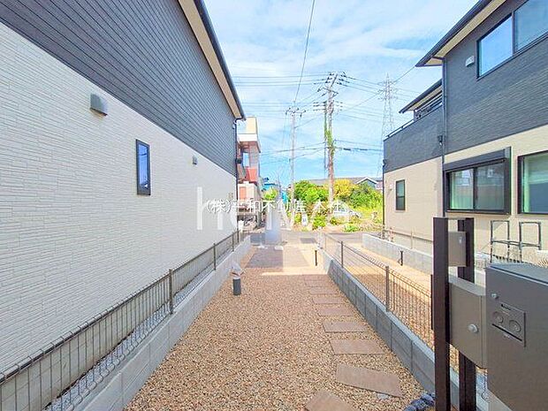 撮影日(2025-09-29 00:00:00)