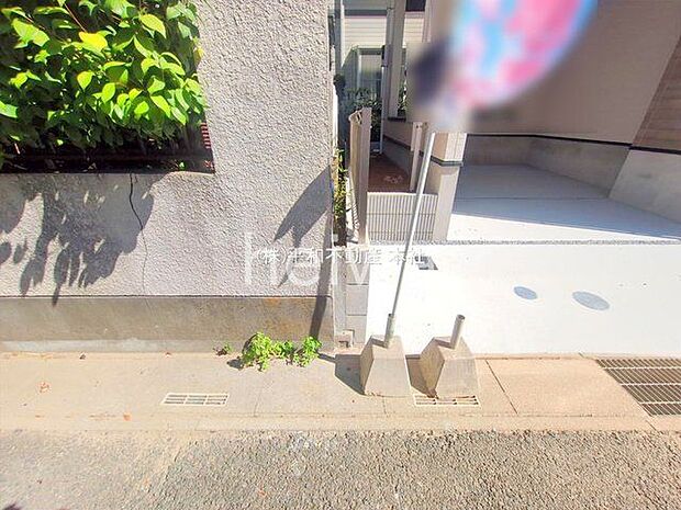 撮影日(2025-09-03 00:00:00)