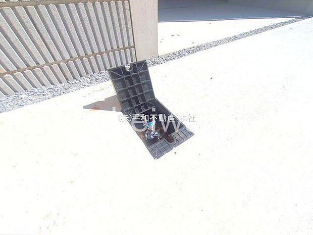 撮影日(2025-09-03 00:00:00)