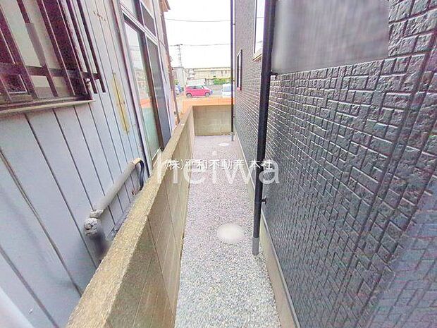 撮影日(2025-11-05 00:00:00)